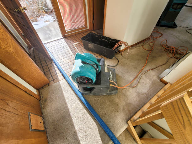 Best 24/7 water damage repair  in Northport, NY