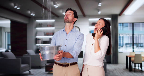 Best Mold removal after water damage  in Northport, NY