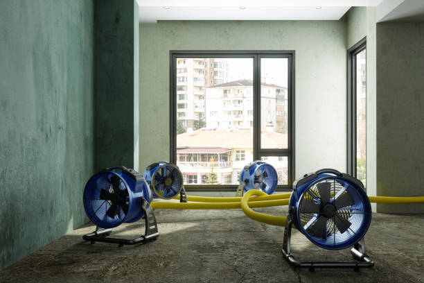 Best Local water damage restoration  in Northport, NY