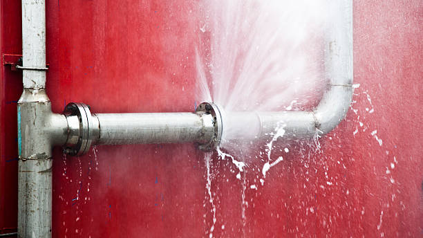 Best Professional water damage repair  in Northport, NY